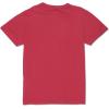 True Religion Boys’ Resist Print Logo Tee(True Red)