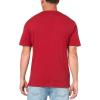 True Religion Mens SRS Puff Crew Tee(Red Dhalia)