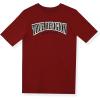 True Religion Boys 3 Piece Fleece Jogger Sets – Complete Hoodie, Tee & Sweatpants Outfit for Everyday Style(Grey Heather-red)